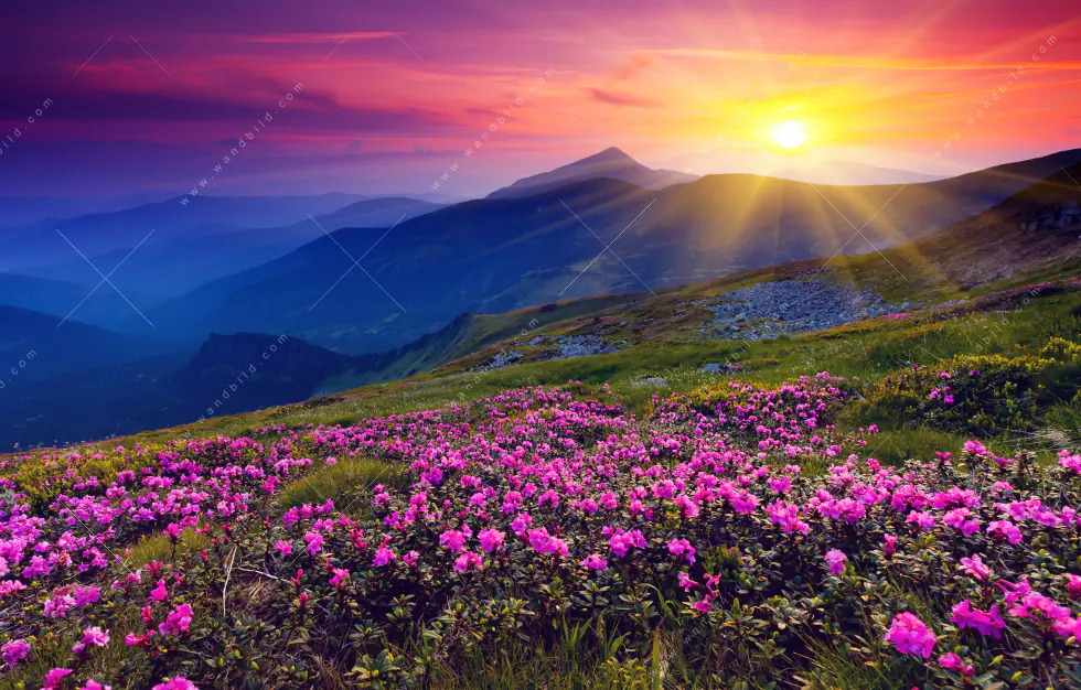 Wechselmotiv Acrylglas Canvalight® DIA | Sommerberg im Sonnenuntergang | Schmal - Image 5