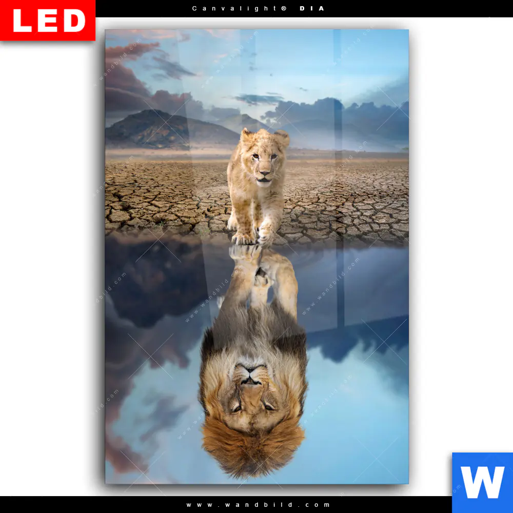 Wechselmotiv Acrylglas Canvalight® DIA | Spiegelbild Löwe & Löwenjunges | Hochformat - Image 2
