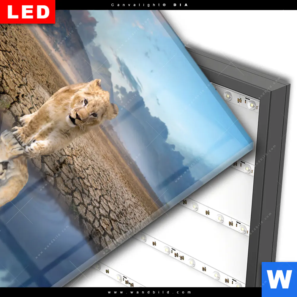 Wechselmotiv Acrylglas Canvalight® DIA | Spiegelbild Löwe & Löwenjunges | Hochformat - Image 3
