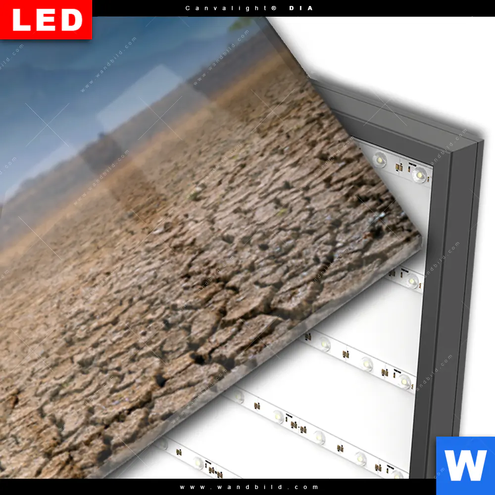 Wechselmotiv Acrylglas Canvalight® DIA | Spiegelbild Löwe & Löwenjunges | Panorama - Image 3