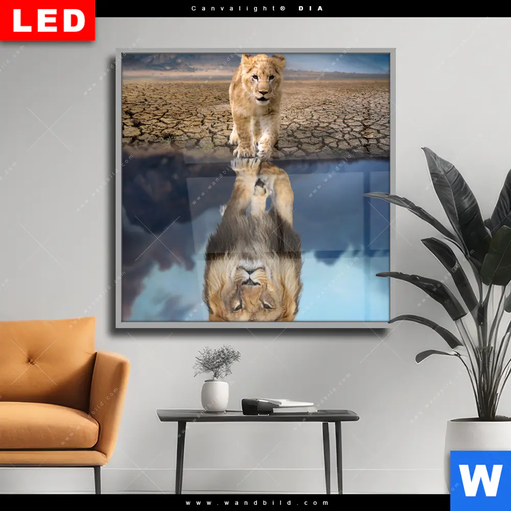 Wechselmotiv Acrylglas Canvalight® DIA | Spiegelbild Löwe & Löwenjunges | Quadrat
