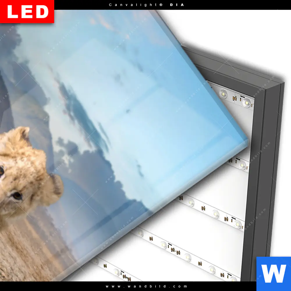 Wechselmotiv Acrylglas Canvalight® DIA | Spiegelbild Löwe & Löwenjunges | Schmal - Image 3