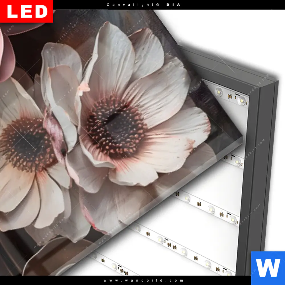 Wechselmotiv Acrylglas Canvalight® DIA | Spiritueller Buddha und Blumen | Panorama - Image 3