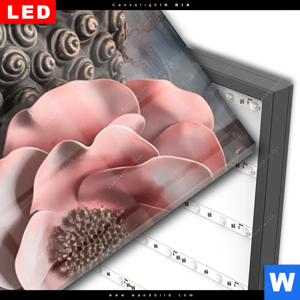 Wechselmotiv Acrylglas Canvalight® DIA | Spiritueller Buddha und Blumen | Schmal - Image 3