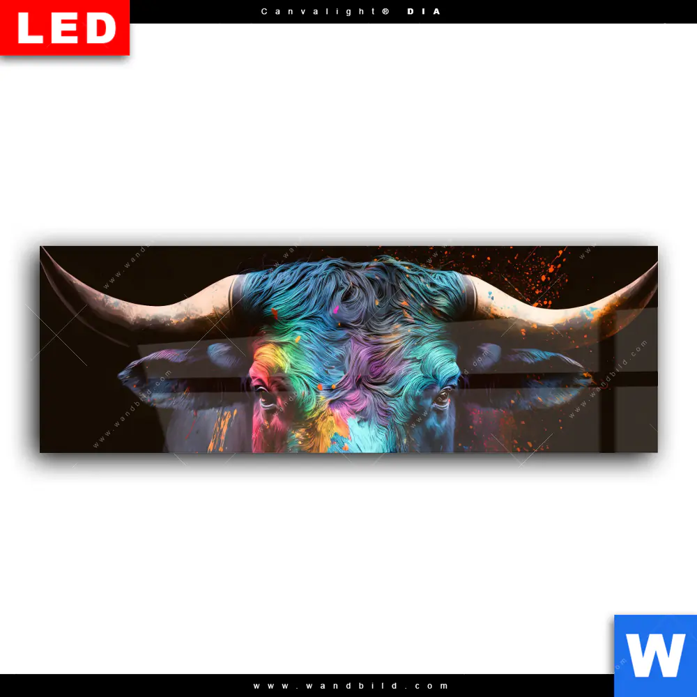 Wechselmotiv Acrylglas Canvalight® DIA | Stier mit bunten Farben | Panorama - Image 2