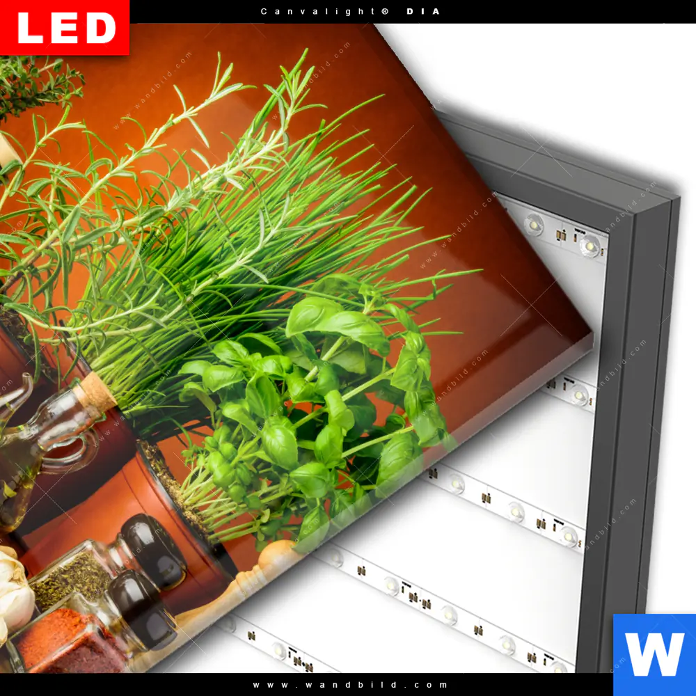 Wechselmotiv Acrylglas Canvalight® DIA | Stillleben mit mediterranen Kräutern | Quadrat - Image 3