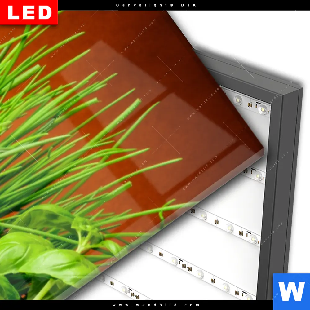 Wechselmotiv Acrylglas Canvalight® DIA | Stillleben mit mediterranen Kräutern | Schmal - Image 3