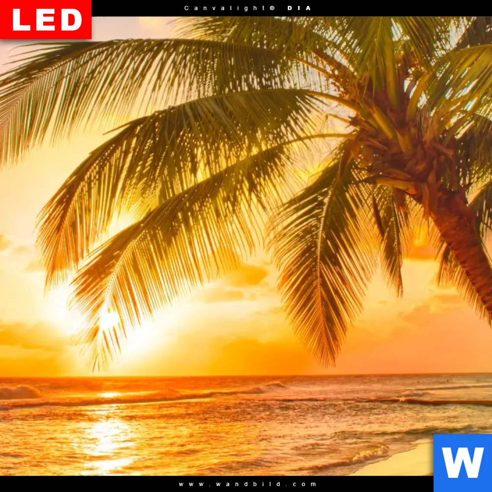 Wechselmotiv Acrylglas Canvalight® DIA | Strand von Barbados | Querformat - Image 4