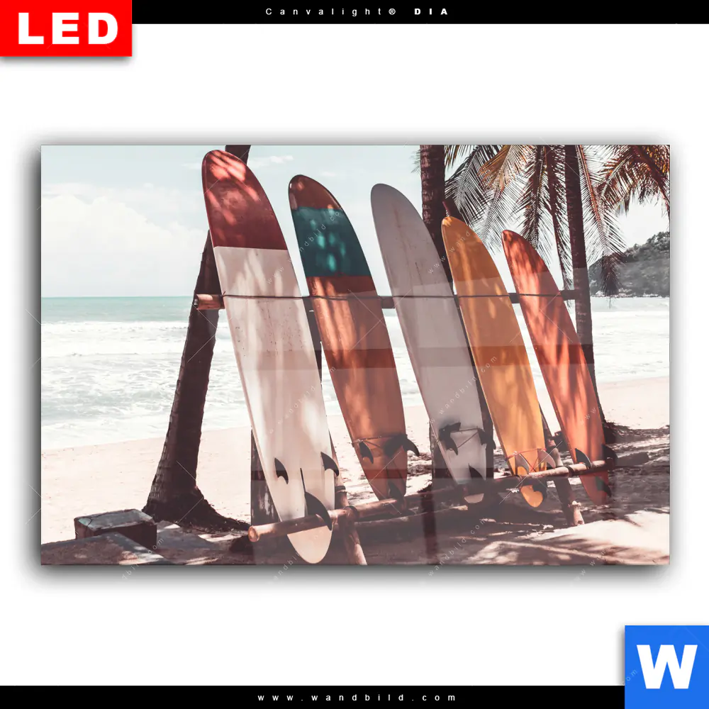 Wechselmotiv Acrylglas Canvalight® DIA | Surfbretter und Palmen | Querformat - Image 2
