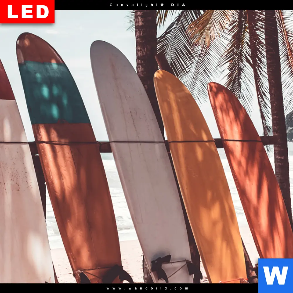 Wechselmotiv Acrylglas Canvalight® DIA | Surfbretter und Palmen | Querformat - Image 4