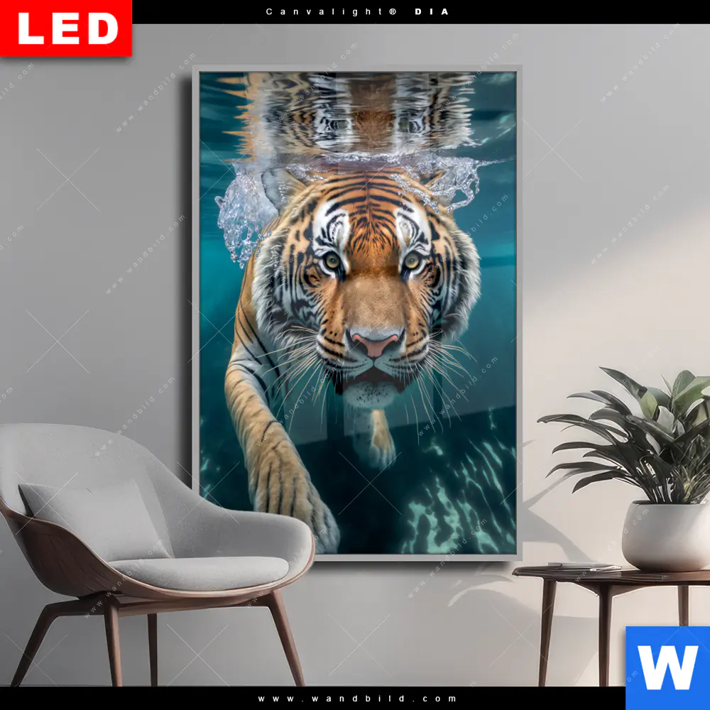 Wechselmotiv Acrylglas Canvalight® DIA | Tauchender Tiger | Hochformat