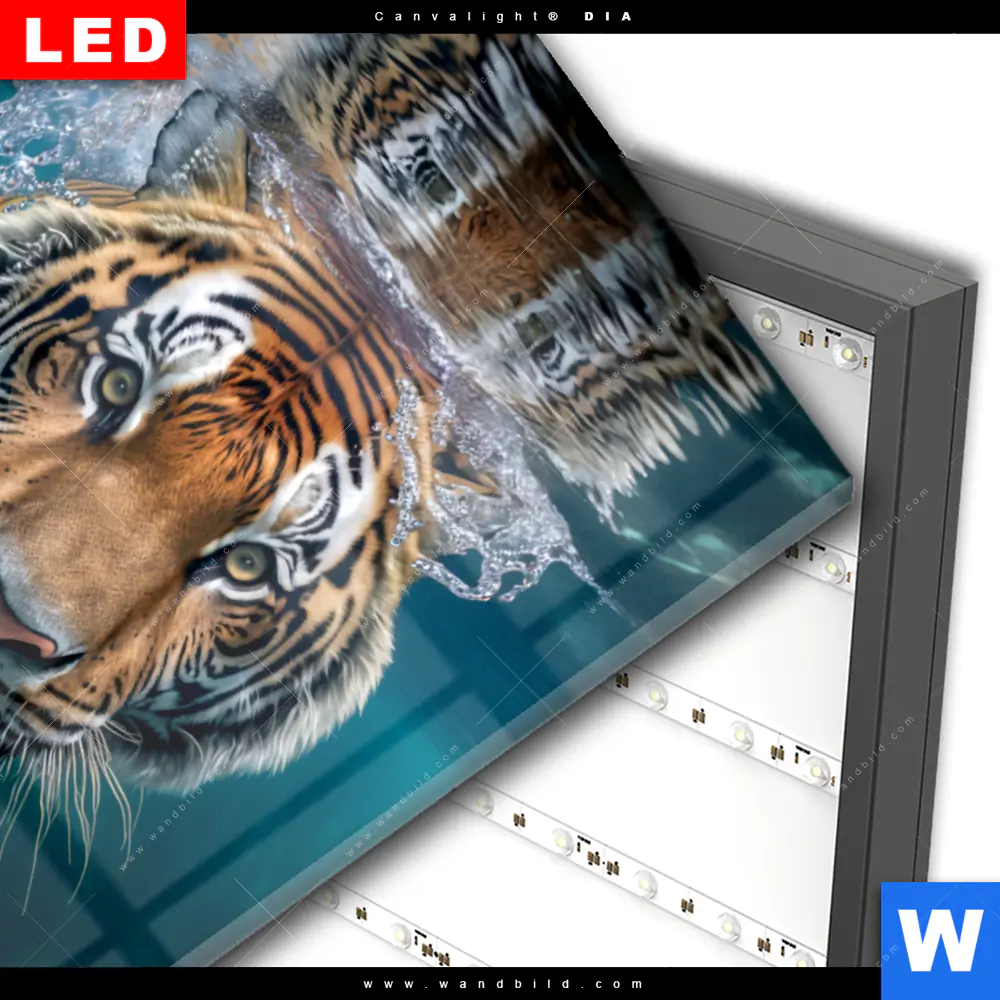 Wechselmotiv Acrylglas Canvalight® DIA | Tauchender Tiger | Hochformat - Image 3
