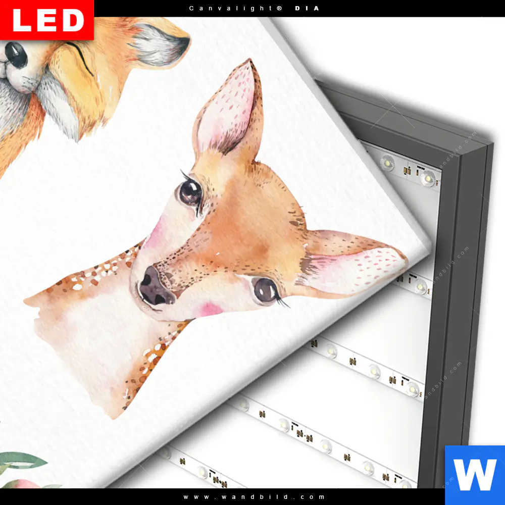 Wechselmotiv Acrylglas Canvalight® DIA | Tiere des Waldes | Quadrat - Image 3