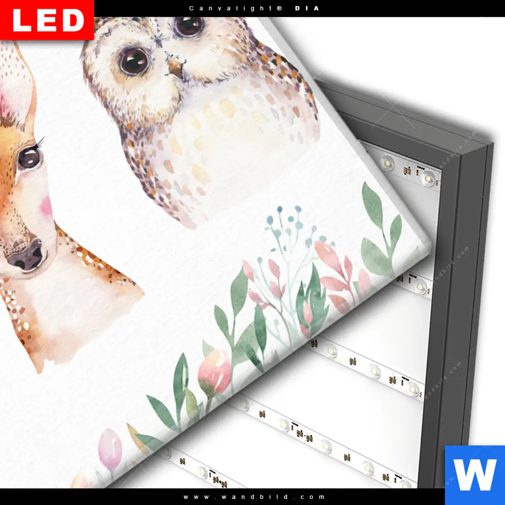 Wechselmotiv Acrylglas Canvalight® DIA | Tiere des Waldes | Querformat - Image 3