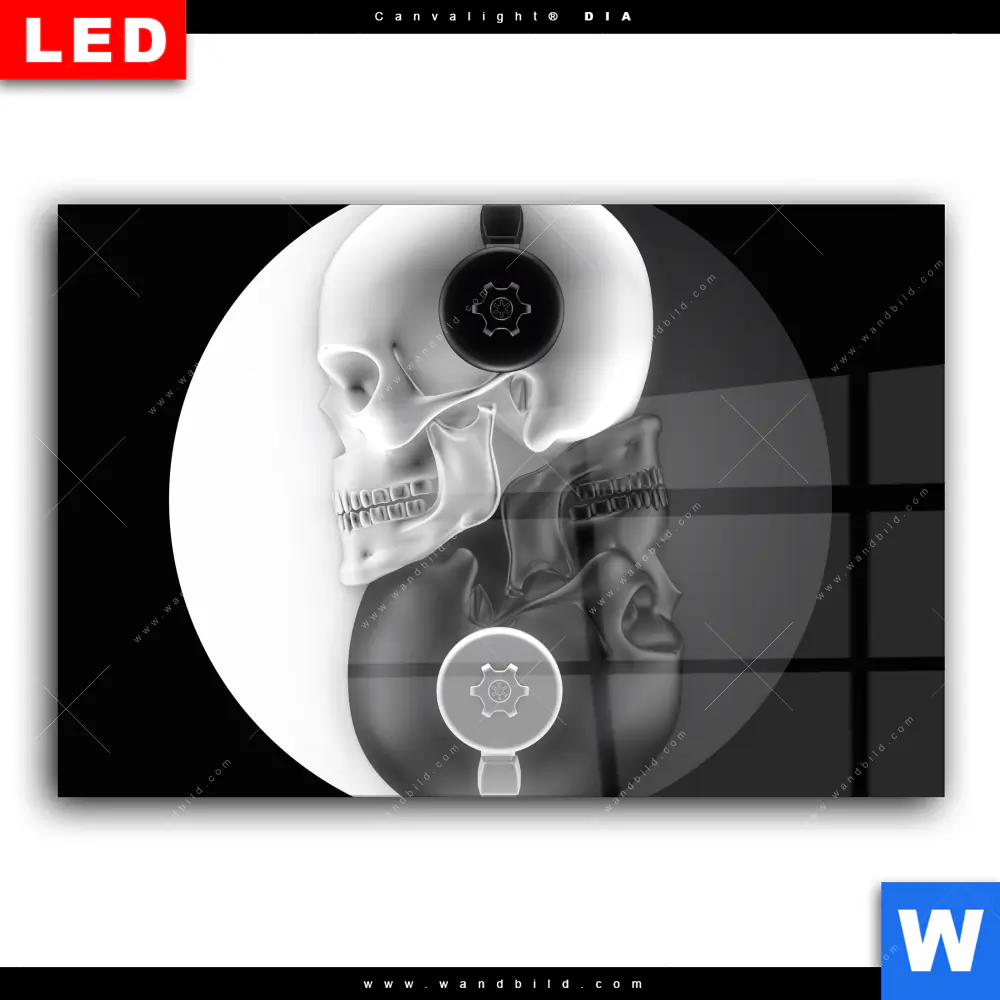 Wechselmotiv Acrylglas Canvalight® DIA | Totenkopf Yin Yang | Querformat - Image 2