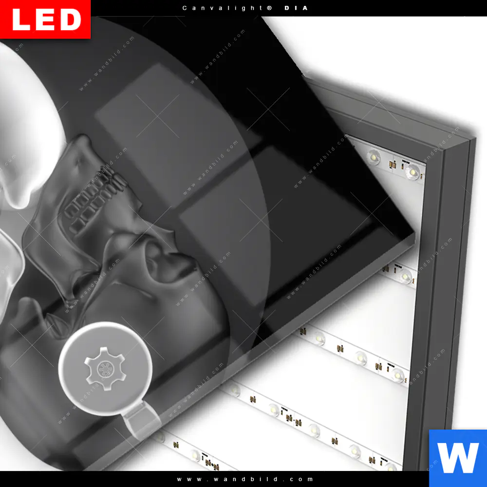 Wechselmotiv Acrylglas Canvalight® DIA | Totenkopf Yin Yang | Querformat - Image 3
