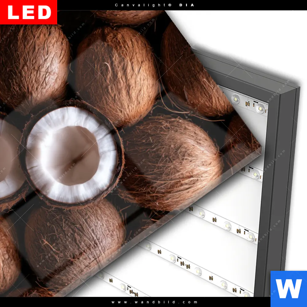 Wechselmotiv Acrylglas Canvalight® DIA | Tropische Kokosnüsse – Exotischer Genuss | Hochformat - Image 3