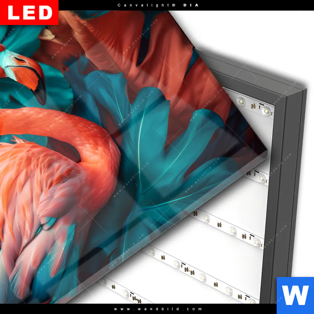 Wechselmotiv Acrylglas Canvalight® DIA | Tropischer Flamingo Traum | Querformat - Image 3