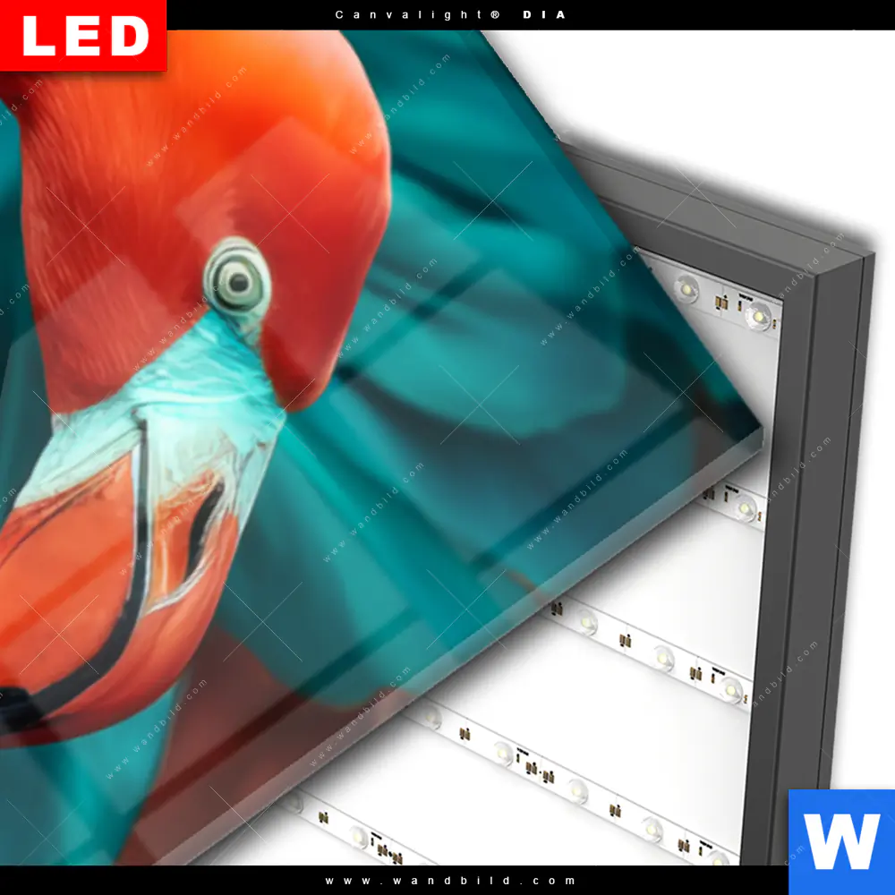 Wechselmotiv Acrylglas Canvalight® DIA | Tropischer Flamingo Traum | Schmal - Image 3