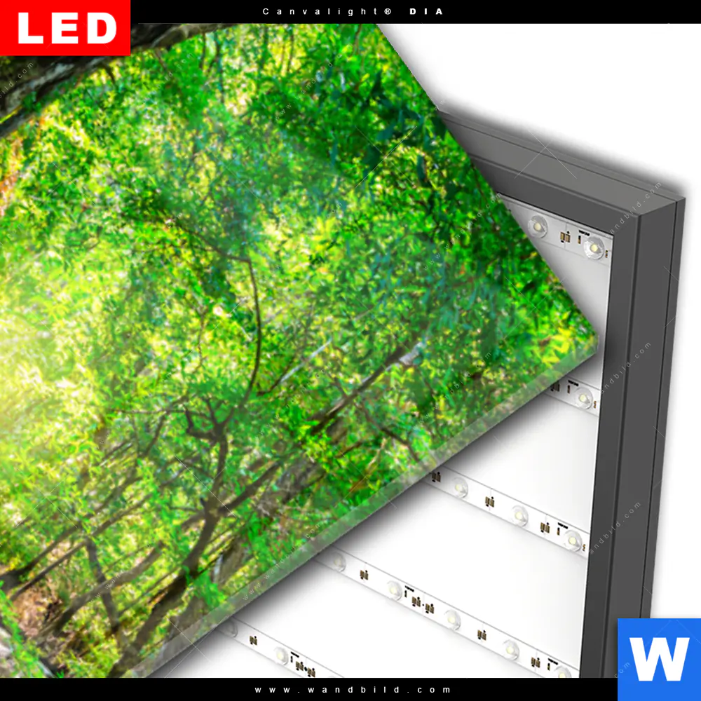 Wechselmotiv Acrylglas Canvalight® DIA | Tropischer Wasserfall | Schmal - Image 3