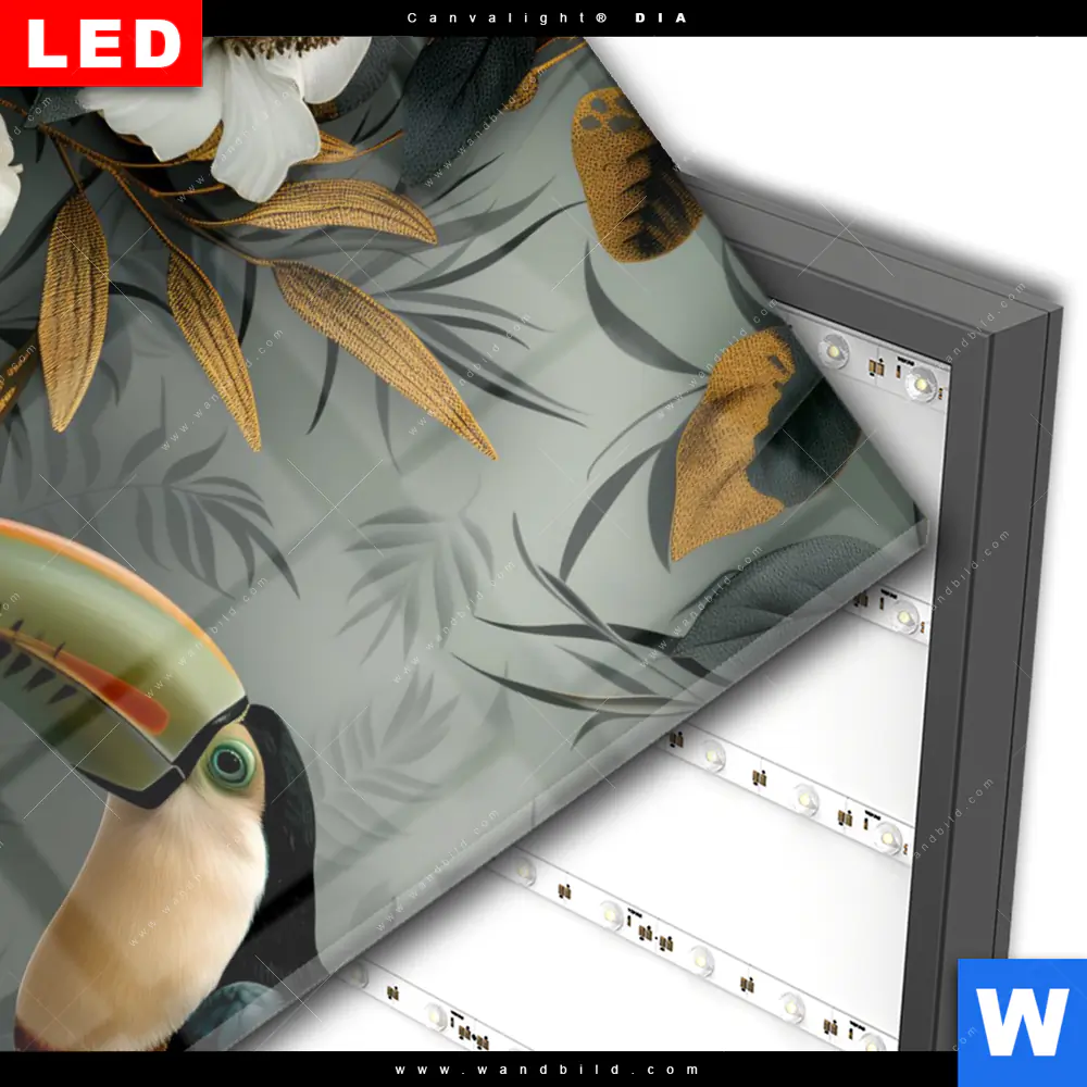 Wechselmotiv Acrylglas Canvalight® DIA | Tukan im goldenen Regenwald | Hochformat - Image 3