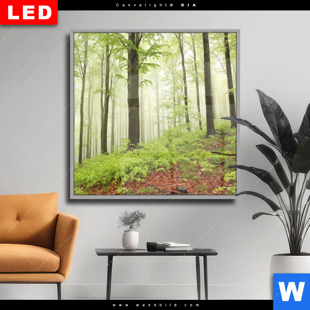 Wechselmotiv Acrylglas Canvalight® DIA | Unberührte Natur - Der Wald | Quadrat
