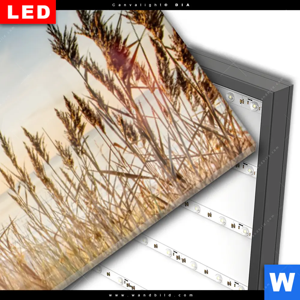 Wechselmotiv Acrylglas Canvalight® DIA | Urlaub am Meer | Panorama - Image 3