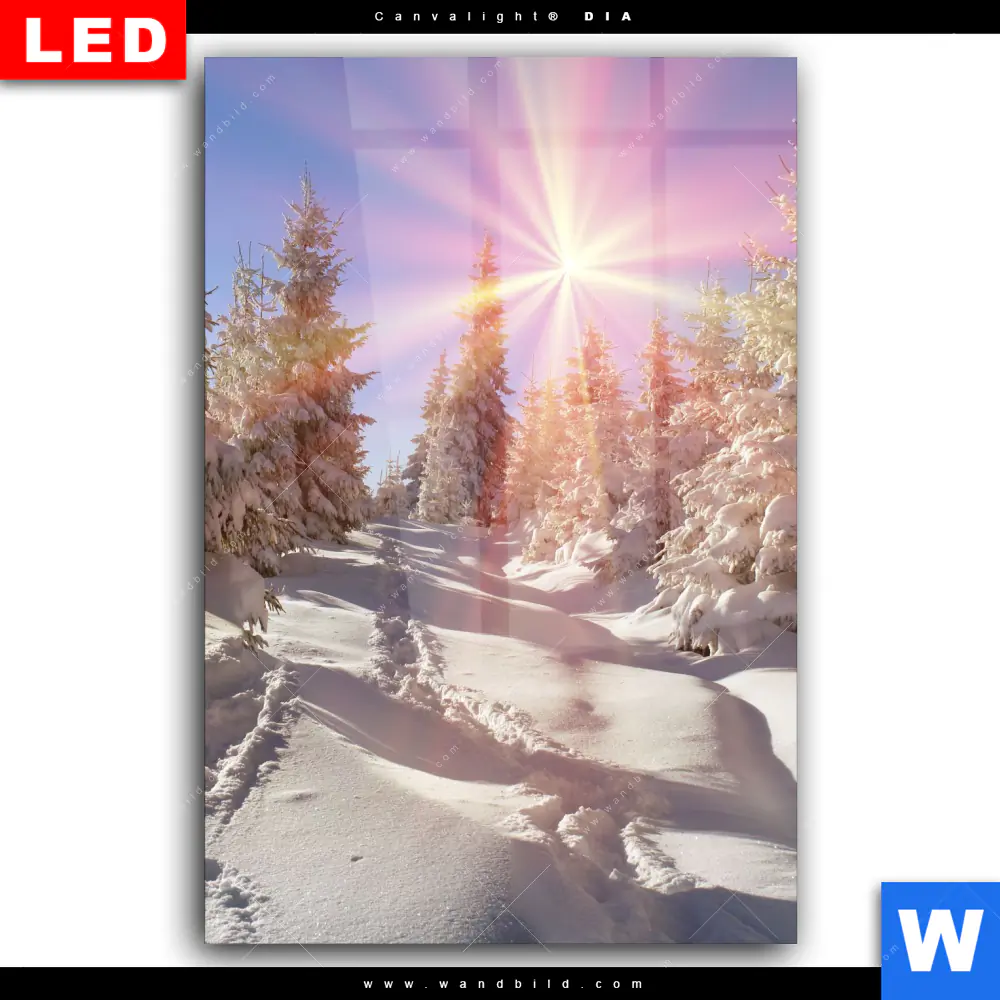 Wechselmotiv Acrylglas Canvalight® DIA | Verschneiter Wald | Hochformat - Image 2