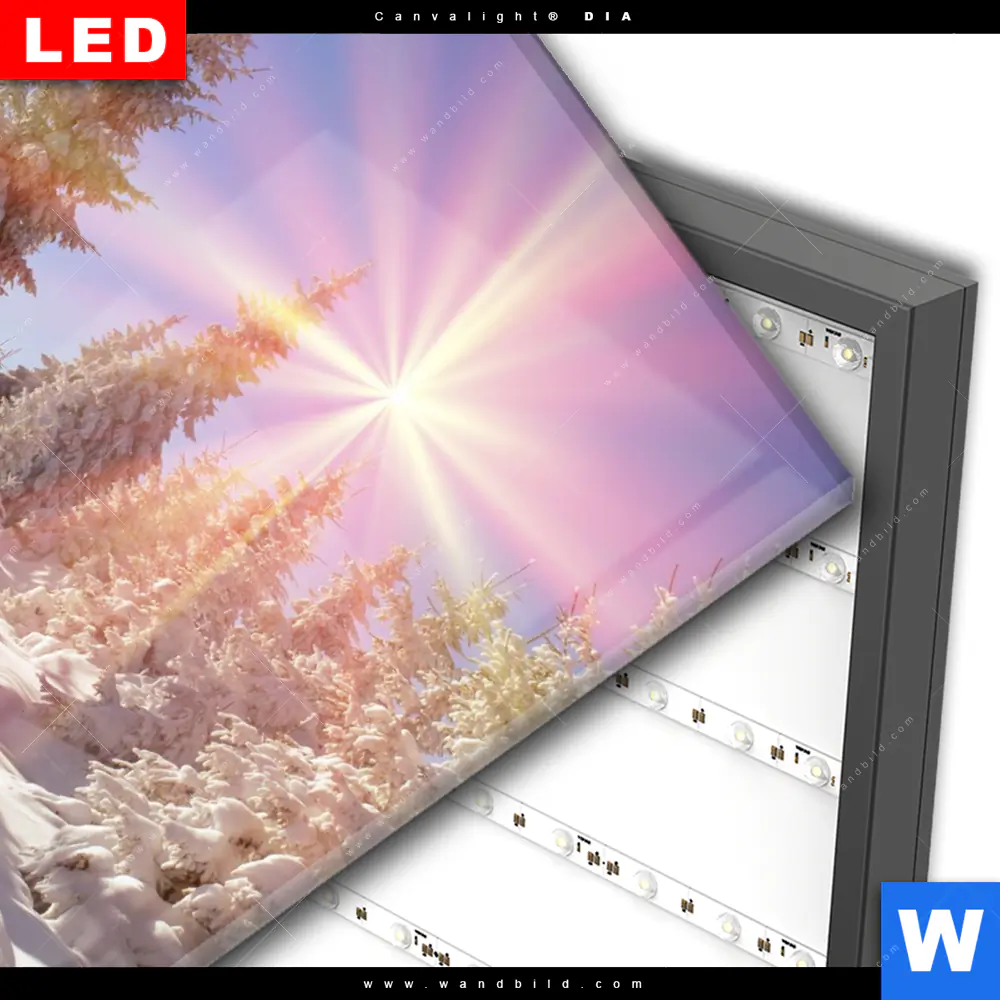 Wechselmotiv Acrylglas Canvalight® DIA | Verschneiter Wald | Hochformat - Image 3