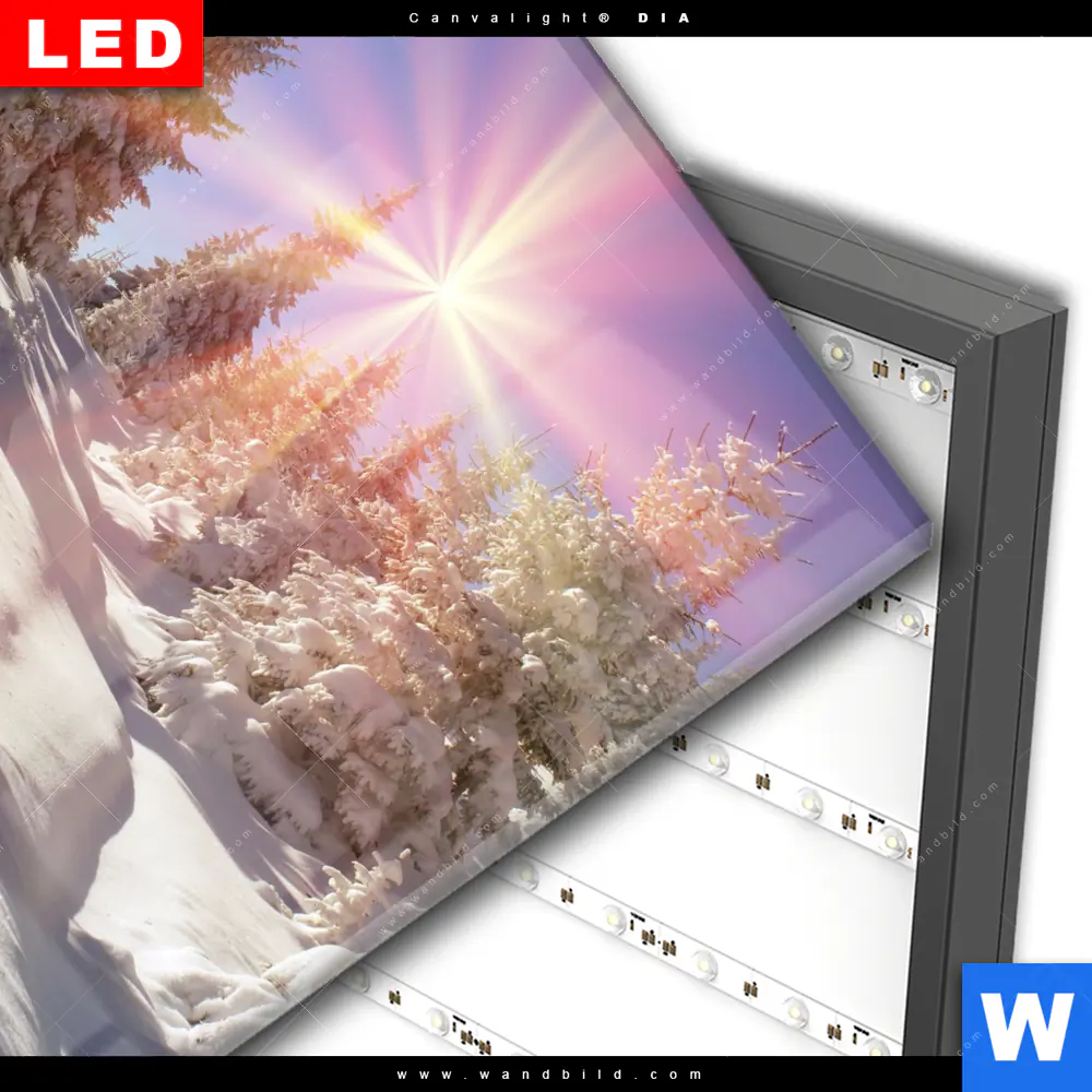Wechselmotiv Acrylglas Canvalight® DIA | Verschneiter Wald | Quadrat - Image 3