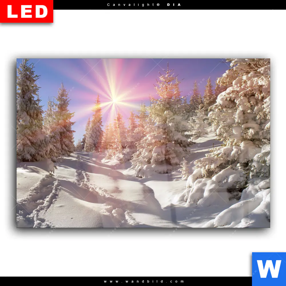 Wechselmotiv Acrylglas Canvalight® DIA | Verschneiter Wald | Querformat - Image 2