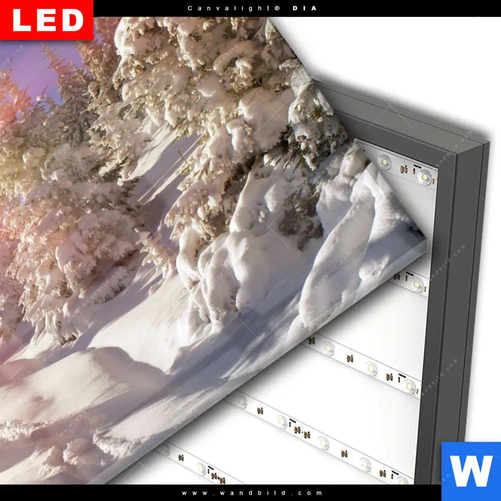 Wechselmotiv Acrylglas Canvalight® DIA | Verschneiter Wald | Querformat - Image 3