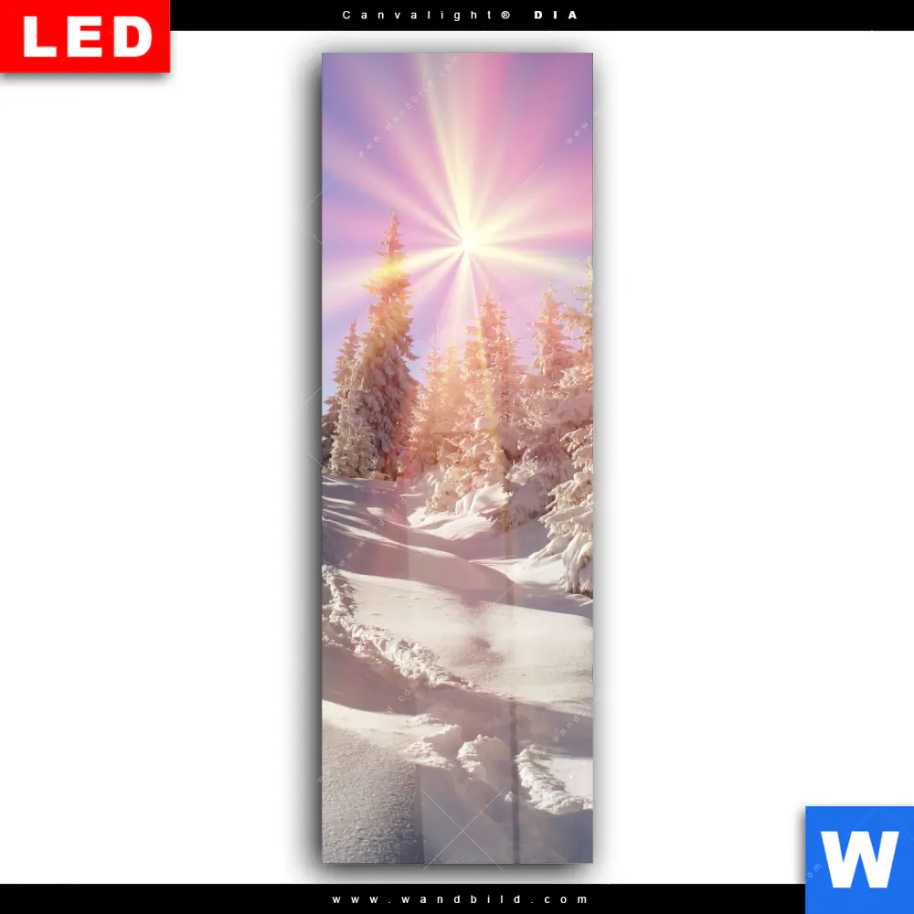 Wechselmotiv Acrylglas Canvalight® DIA | Verschneiter Wald | Schmal - Image 2