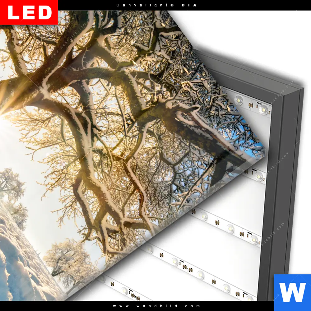 Wechselmotiv Acrylglas Canvalight® DIA | Verzauberte Winterlandschaft | Quadrat - Image 3
