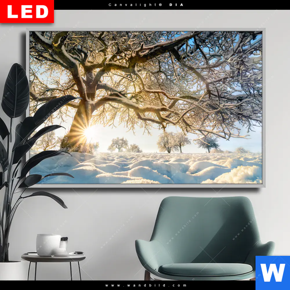 Wechselmotiv Acrylglas Canvalight® DIA | Verzauberte Winterlandschaft | Querformat