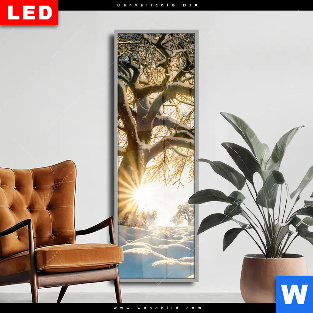 Wechselmotiv Acrylglas Canvalight® DIA | Verzauberte Winterlandschaft | Schmal