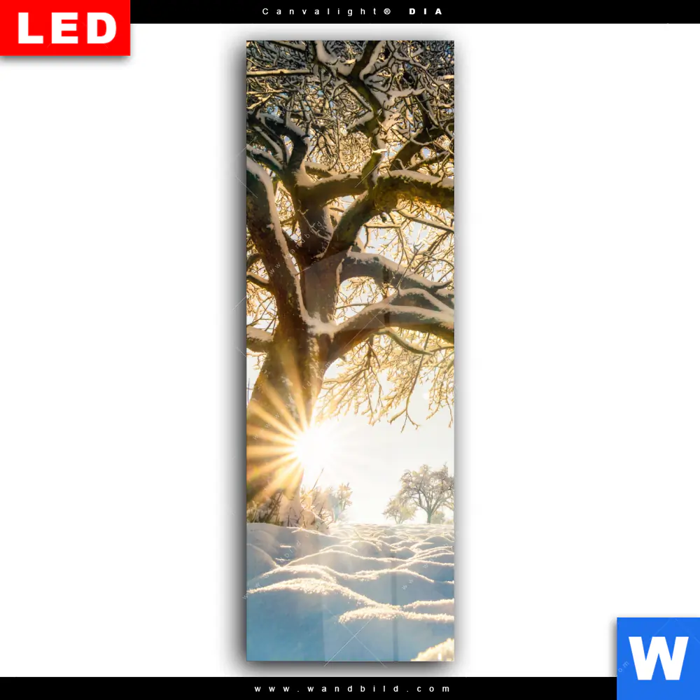 Wechselmotiv Acrylglas Canvalight® DIA | Verzauberte Winterlandschaft | Schmal - Image 2