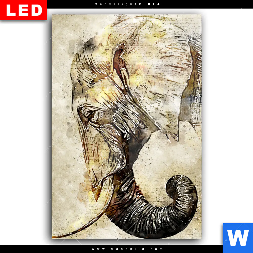Wechselmotiv Acrylglas Canvalight® DIA | Vintage Elefant | Hochformat - Image 2