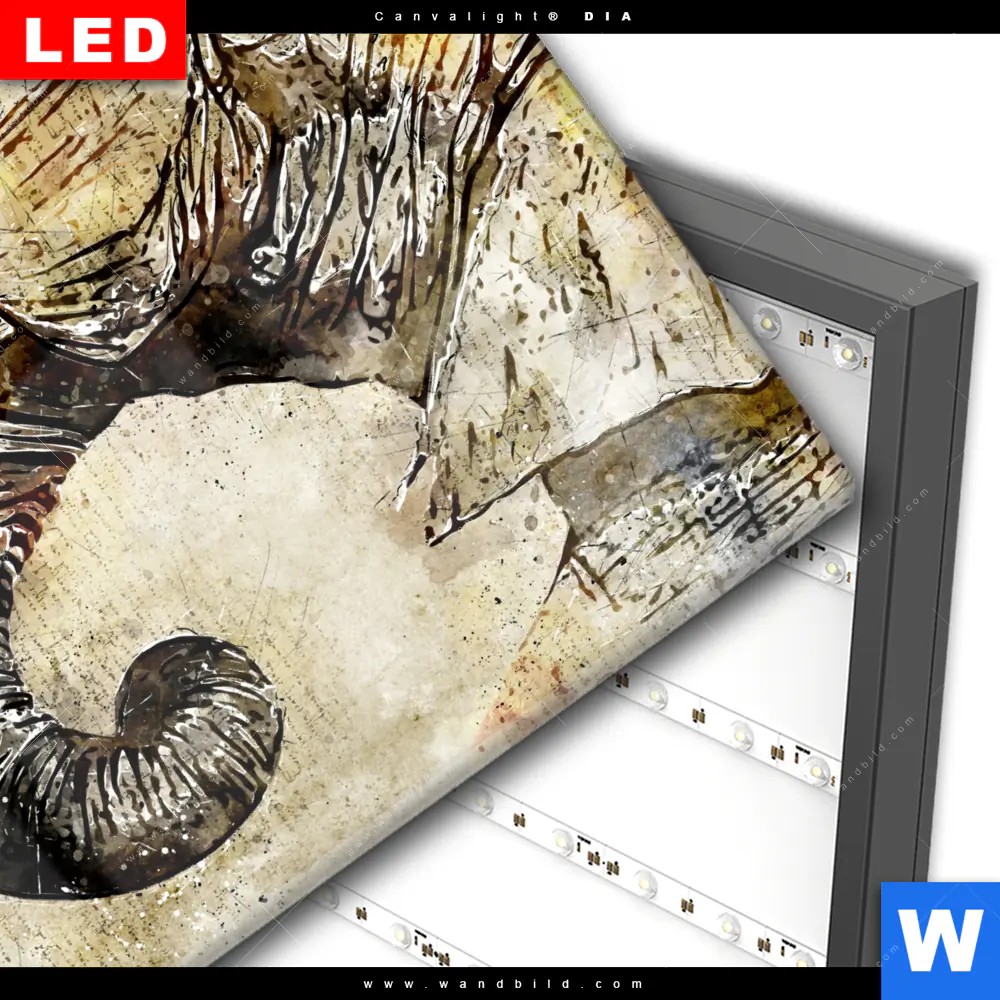 Wechselmotiv Acrylglas Canvalight® DIA | Vintage Elefant | Quadrat - Image 3