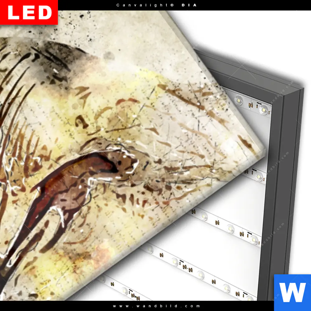 Wechselmotiv Acrylglas Canvalight® DIA | Vintage Elefant | Schmal - Image 3