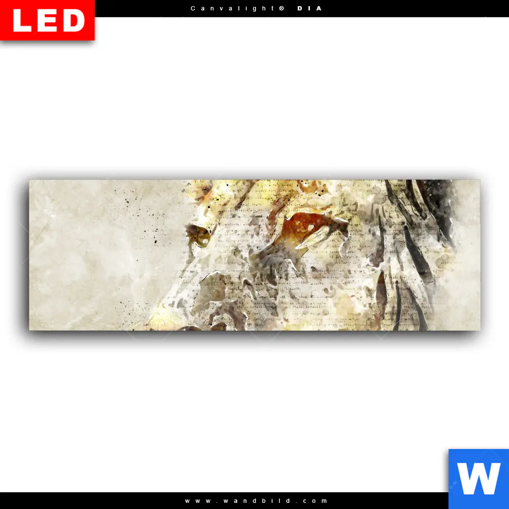 Wechselmotiv Acrylglas Canvalight® DIA | Vintage Löwe | Panorama - Image 2