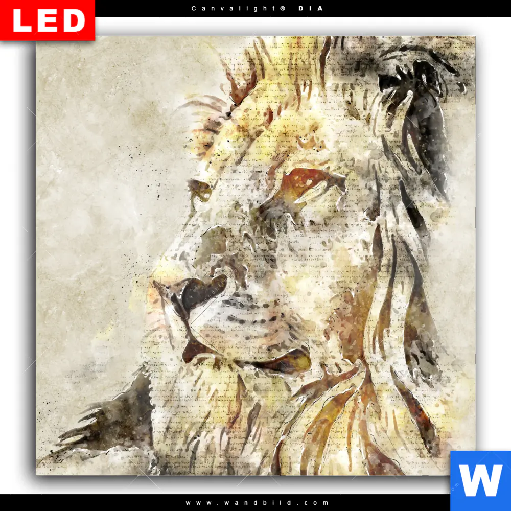 Wechselmotiv Acrylglas Canvalight® DIA | Vintage Löwe | Quadrat - Image 2