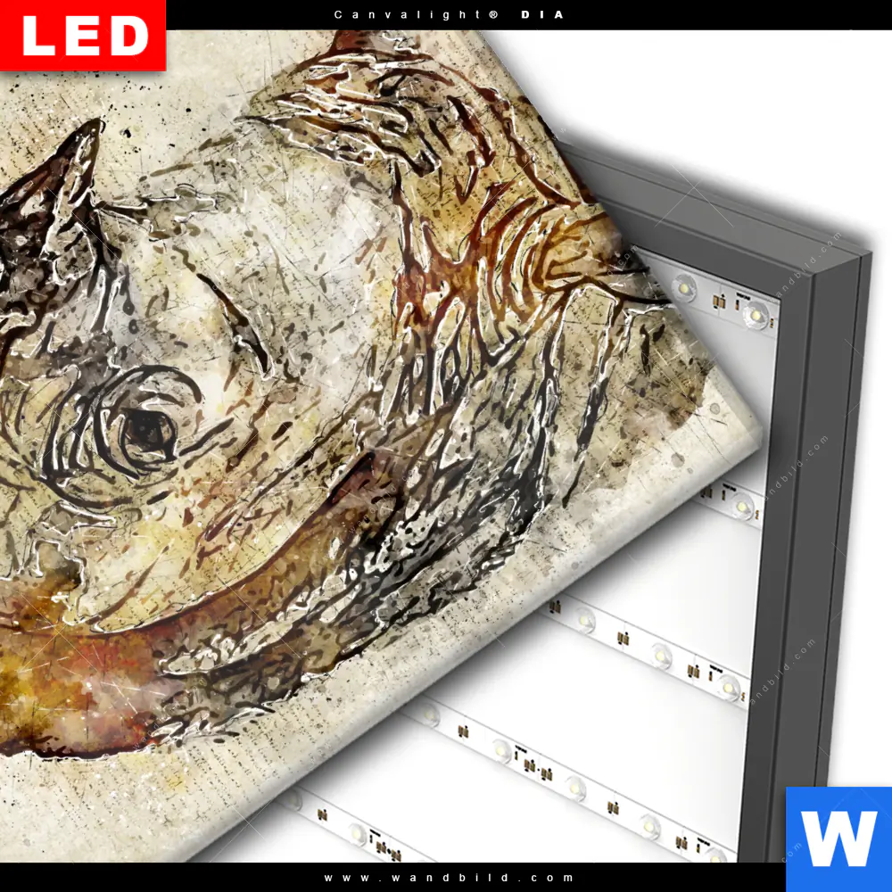 Wechselmotiv Acrylglas Canvalight® DIA | Vintage Nashorn | Quadrat - Image 3