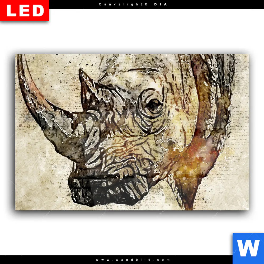 Wechselmotiv Acrylglas Canvalight® DIA | Vintage Nashorn | Querformat - Image 2