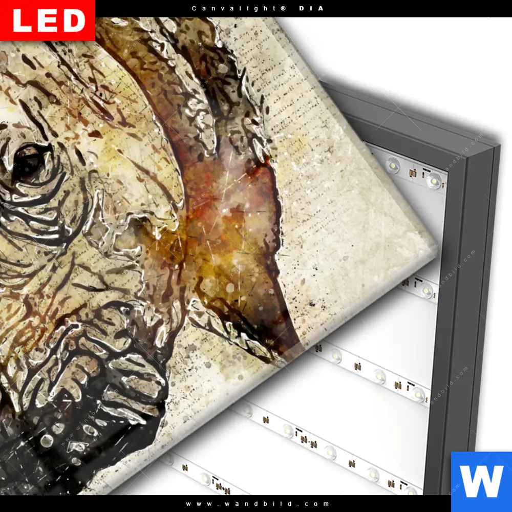 Wechselmotiv Acrylglas Canvalight® DIA | Vintage Nashorn | Querformat - Image 3