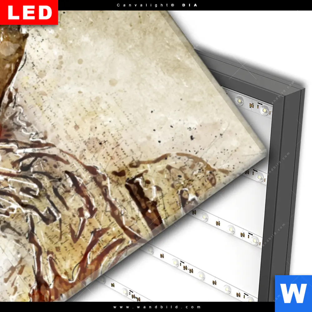 Wechselmotiv Acrylglas Canvalight® DIA | Vintage Nashorn | Schmal - Image 3