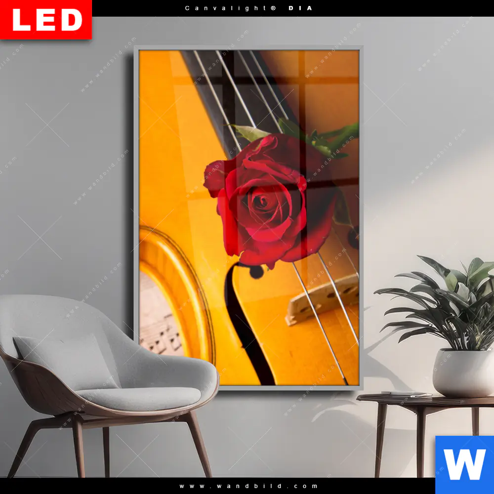 Wechselmotiv Acrylglas Canvalight® DIA | Violine & Rose | Hochformat