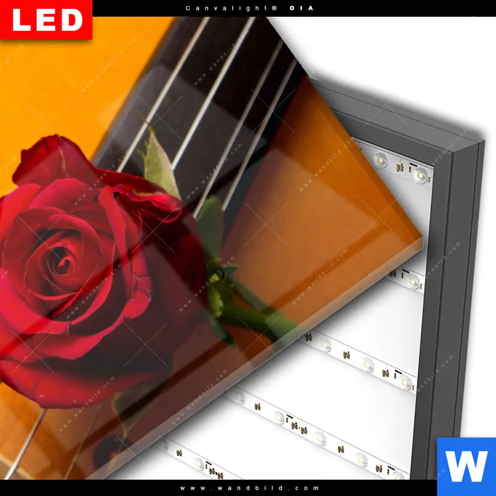 Wechselmotiv Acrylglas Canvalight® DIA | Violine & Rose | Hochformat - Image 3