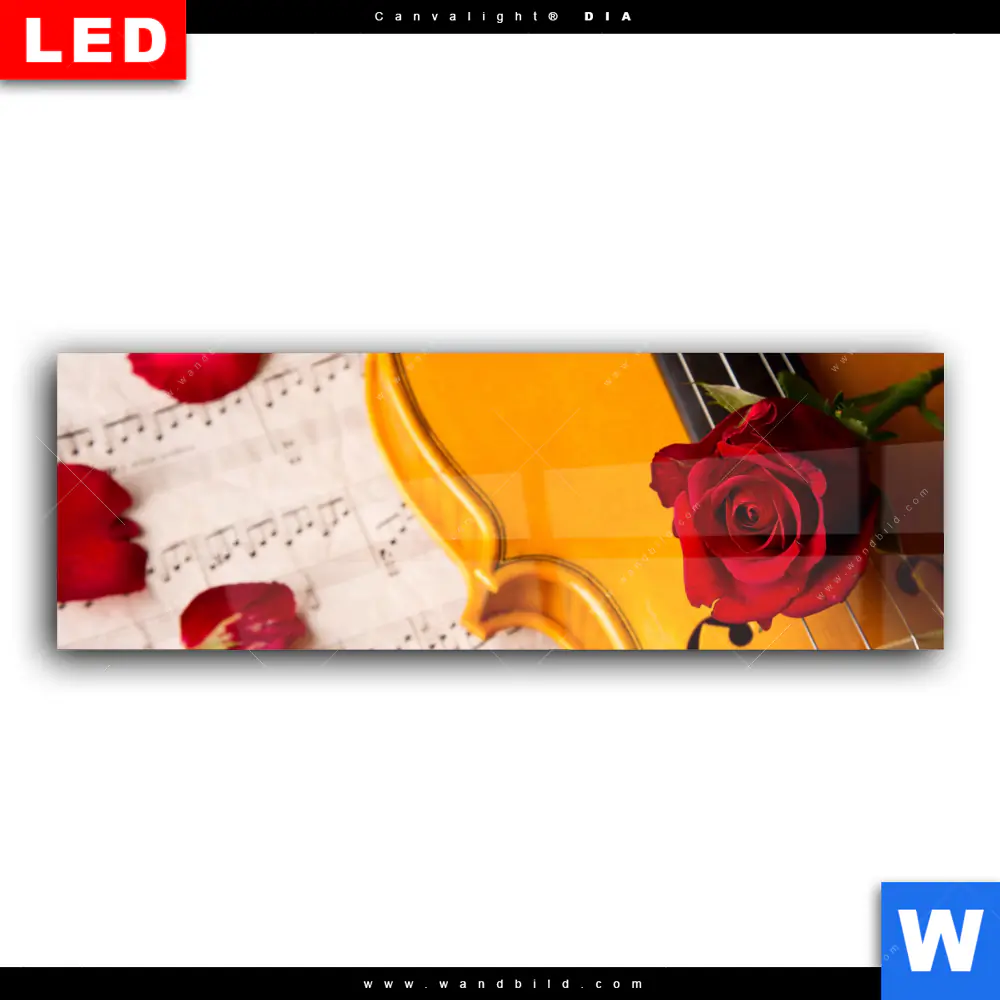 Wechselmotiv Acrylglas Canvalight® DIA | Violine & Rose | Panorama - Image 2