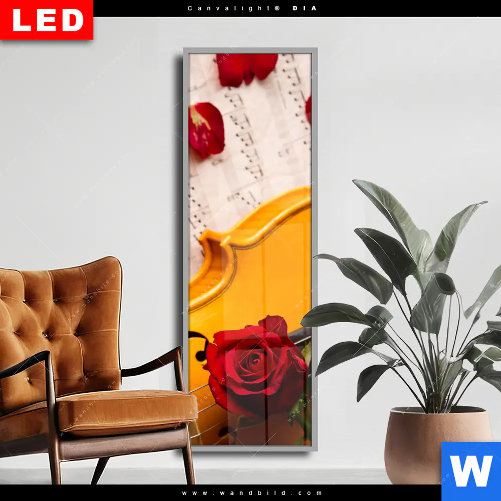 Wechselmotiv Acrylglas Canvalight® DIA | Violine & Rose | Schmal